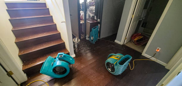 Best Residential water damage restoration  in Ponderay, ID