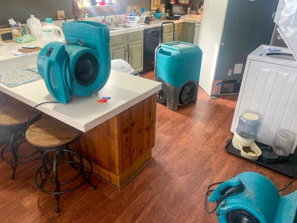 Best Commercial water damage restoration  in Ponderay, ID