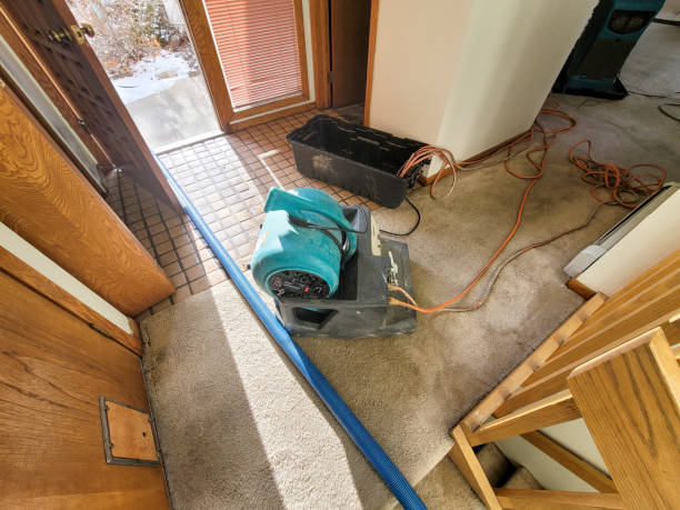 Best Ceiling water damage repair  in Ponderay, ID