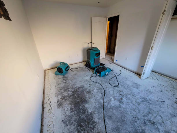Best Water damage cleanup near me  in Ponderay, ID