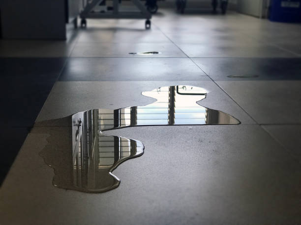 Best Water damage restoration cost  in Ponderay, ID