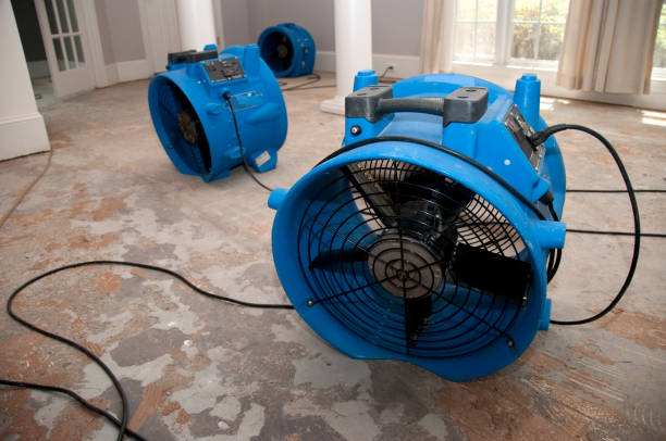 Best Local water damage restoration  in Ponderay, ID